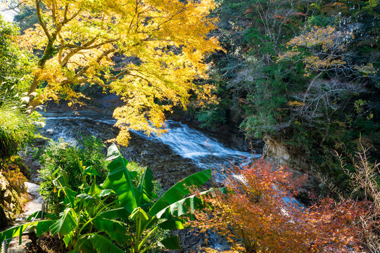 養老渓谷の秋、粟又の滝上部の紅葉風景（千葉県）