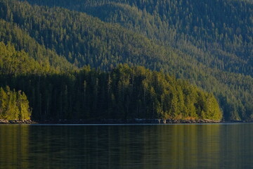 Obraz premium Forested shore in blue light