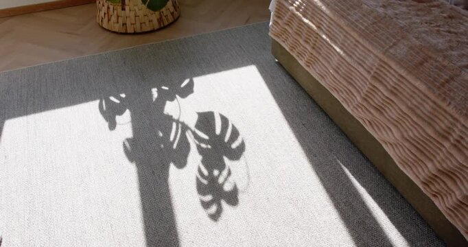 Plant shadow is shifting across sunlit rug in bedroom as leaves are swaying from slight breeze