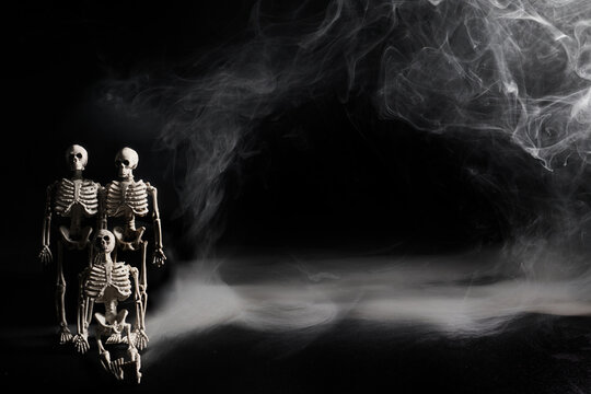 Skeletons family standing in spooky smoke and fog