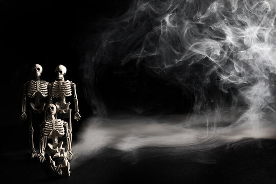 Skeletons representing family and mortality in smoke
