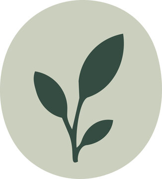 A minimalist dark green botanical branch with three leaves is centered on a soft sage green circular