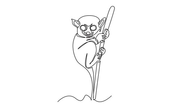 Animated self drawing of continuous line draw a nocturnal tarsier clinging vertically to a thin tree bamboo branch, featuring its large round eyes and cute profile. Full length single line animation