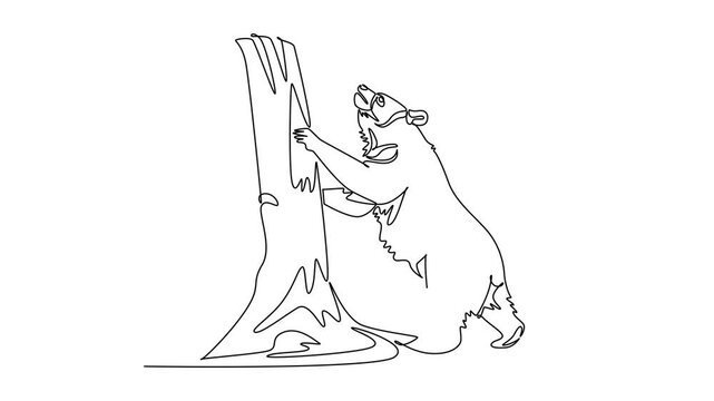 Self drawing animation of single line draw wild bear animal standing on its hind legs and leaning against tree trunk in nature, artistic modern sketch style. Continuous line draw. Full length animated