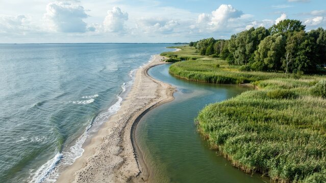 Aerial view of a sandy coastline where a river meets the sea, bordered by lush green wetlands and forest under a blue sky