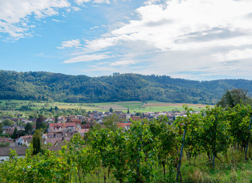 Bohlingen, eine Gemeinde im Hegau im Landkreis Konstanz (Baden-W&uuml;rttemberg). Blick von den Weinbergen des Bohlinger Galgenbergs. Im S&uuml;den &uuml;berragt das bewaldete Schienerbergmassiv das Achtal