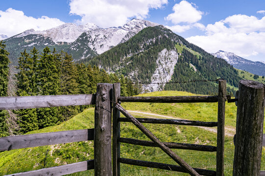 Rustikales Holztor einer Almkoppel vor den schroffen Felsgipfeln der Berchtesgadener Alpen.
