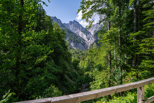 Aussichtspunkt mit Holzgel&auml;nder am Wanderweg mit Blick durch den Bergwald auf die Loferer Steinberge.