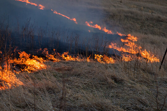 Controlled fire moving across grassland