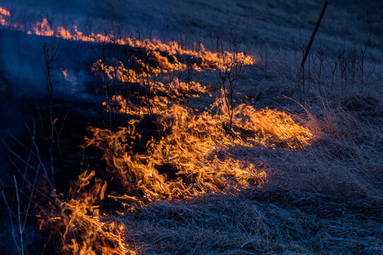 Controlled fire moving across grassland