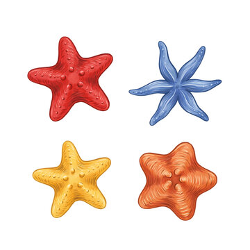 Colorful sea stars illustration with different textures and vibrant colors transparent background
