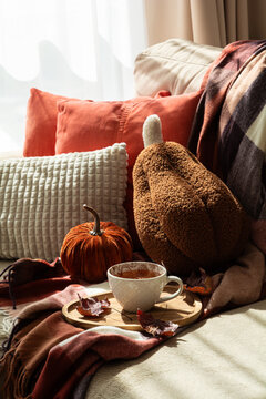 Cozy autumn home scene with pumpkin, tea cup and plaid blanket by window
