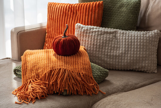 Cozy Autumn Scene With Pumpkin And Textured Cushions On Sofa