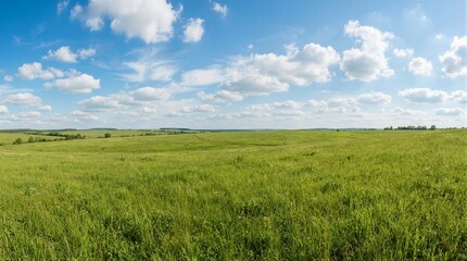 Obraz premium Vast green field stretches under bright blue sky. White clouds drift lazily above the horizon. Sunlight glows softly on the grassy expanse. Nature appears peaceful and untouched by human presence