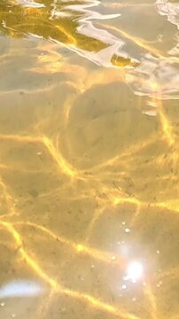 Close vertical view of sunlit water rippling over a golden sandy bottom, bright sun glare sparkling on the surface while wavy light patterns shift steadily throughout the clip.