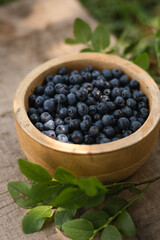 Fresh blueberries in a wooden bowl on a beige background © Kateryna