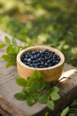 Fresh blueberries in a wooden bowl on a beige background © Kateryna