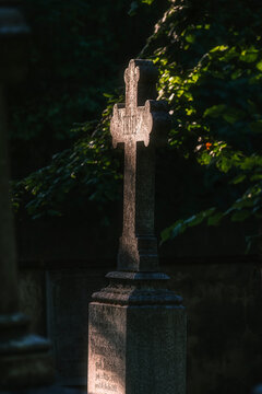 An old stone cross standing tall and solitary in an atmospheric historic cemetery surrounded by lush green trees and soft sunlight.