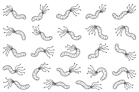 Helicobacter pylori icon set on a white background