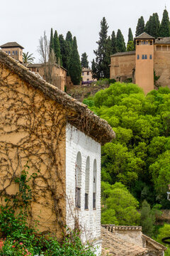 Traditional architecture of the Albayzin neighborhood with a building covered in ivy, showcasing the historic Alhambra palace complex on the hill surrounded by lush green trees in Granada