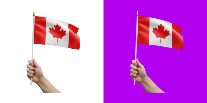 A hand holding a small waving flag of Canada on a stick 3D render transparent background, png