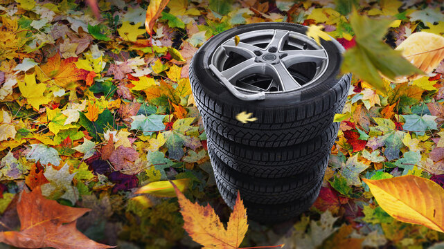 Car tires with on the autumn road - winter tire change concept