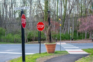 Stop sign and crosswalk at road intersection in spring © Maxwell