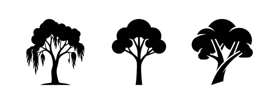 Three stylized tree icons: weeping willow, rounded tree, and branched tree