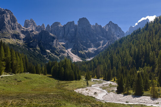 Scenic alpine landscape near Passo Rolle with green meadows, conifer forest, mountain stream and rugged Pale di San Martino peaks in the Italian Dolomites.