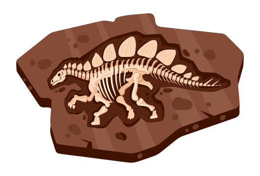 Dino fossil specimen. Prehistoric skeleton embedded in rugged brown stone slab flat vector illustration. Ancient life research graphic