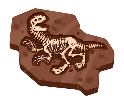 Dinosaur fossil rock. Prehistoric skeleton displayed in brown fossil slab flat vector illustration. Paleontology and natural history design