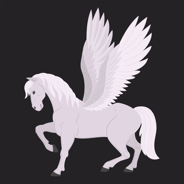 Fantasy pegasus horse. Winged mythical horse with raised feathered wings flat vector illustration. Magical fantasy creature