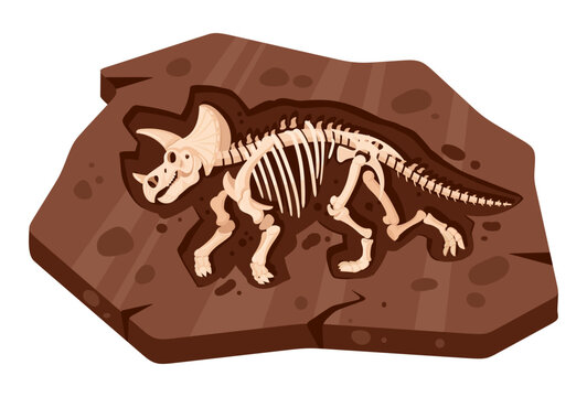 Dinosaur fossil skeleton. Horned prehistoric skeleton preserved in brown rock slab flat vector illustration. Paleontology and museum graphic