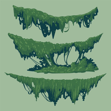 Mossy forest plants. Hanging green moss and creeping lichen, jungle rainy forest flora flat vector illustration set. Forest terrain and fantasy environment elements
