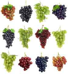 Obraz premium Bunches of different grapes isolated on white, set