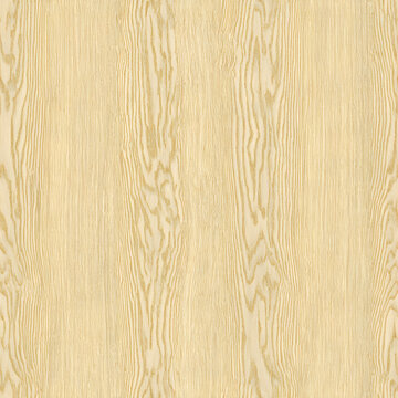Ash Oiled Seamless Texture