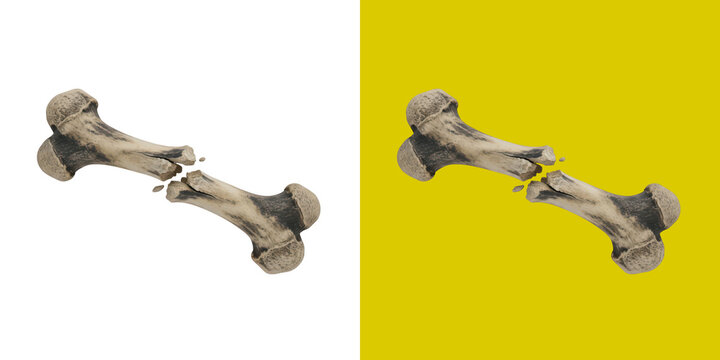 A single aged animal bone broken into two separate pieces in a simple style