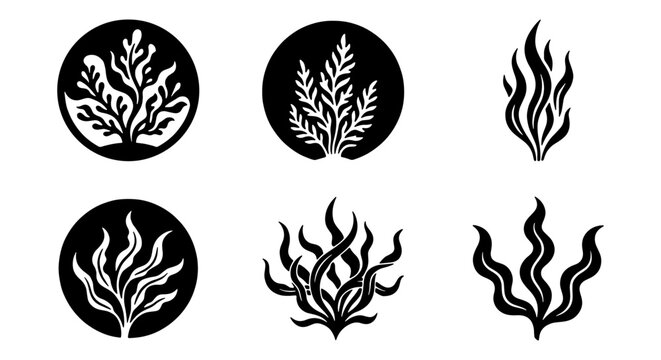 Seaweed and kelp silhouettes set for ocean or nature logo, sticker, or print