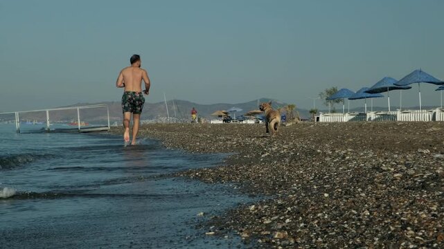 A video of an eight year old female one eyed pitbull running together with her athletic forty year old male owner along a sandy beach in warm morning sunlight.