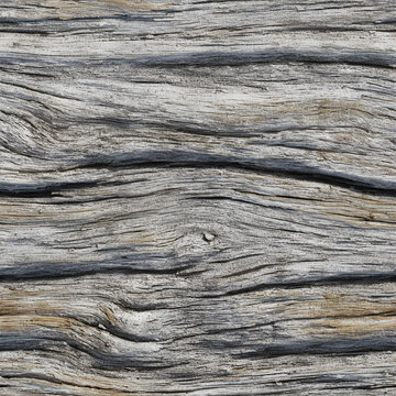 Driftwood Aged Seamless Texture