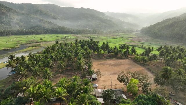 Aerial view of the lush Munjungan Rice Fields surrounded by palm trees and misty mountains in Munjungan, East Java, Indonesia.