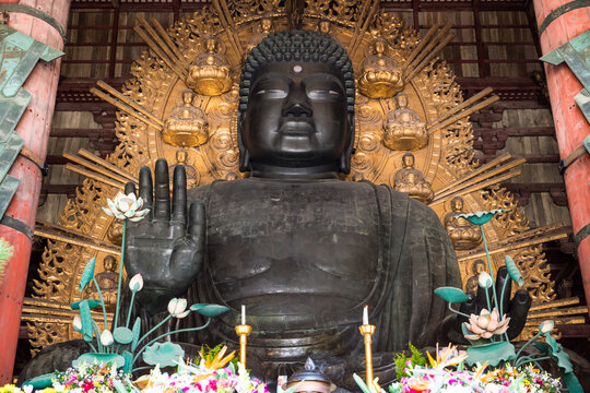 奈良の大仏 東大寺大仏殿 大仏尊像 （奈良県奈良市）