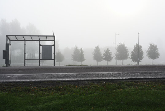 Misty Morning Bus Stop