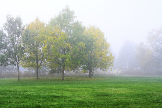 Misty Autumn Morning