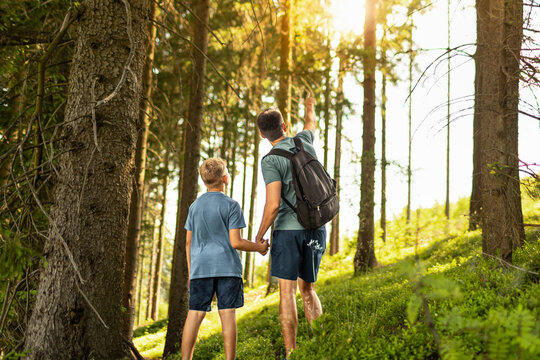Father and son hiking together through a sunlit forest exploring nature and enjoying an outdoor family adventure