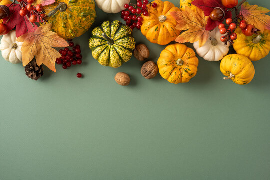 Autumn Thanksgiving arrangement with mini pumpkins, gourds, leaves and nuts on soft green background with empty space
