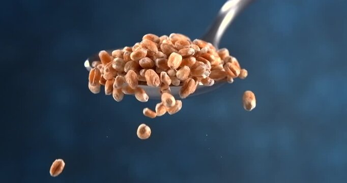 Wheat grains falling from spoon in slow motion on blue background
