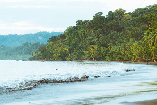 View of a tropical beach with lush green jungle vegetation meeting the sandy shore, gentle waves rolling onto the coast, and palm trees under an overcast sky in Costa Rica.