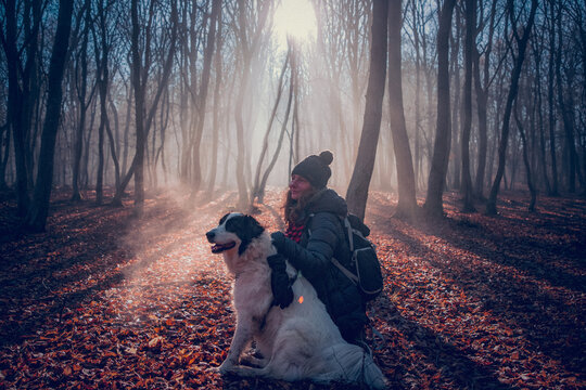 happy dog and owner in foggy forest
