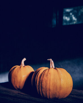 halloween pumpkins ready for carving